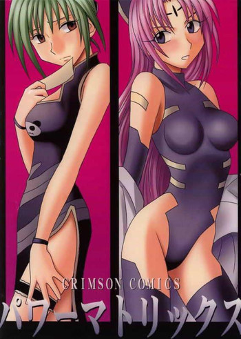 パワーマトリシクス