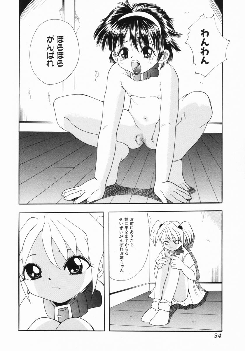 [彩樹衛生] つるぺた体罰少女
