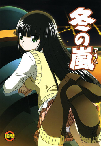 (C65) [わくわく動物園 (天王寺きつね)] 冬の嵐 (ガドガード)