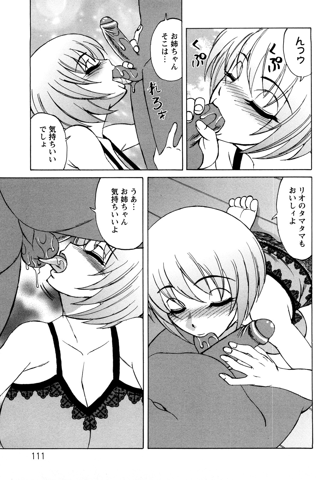 [山本よし文] 姉＋[アネプラス]