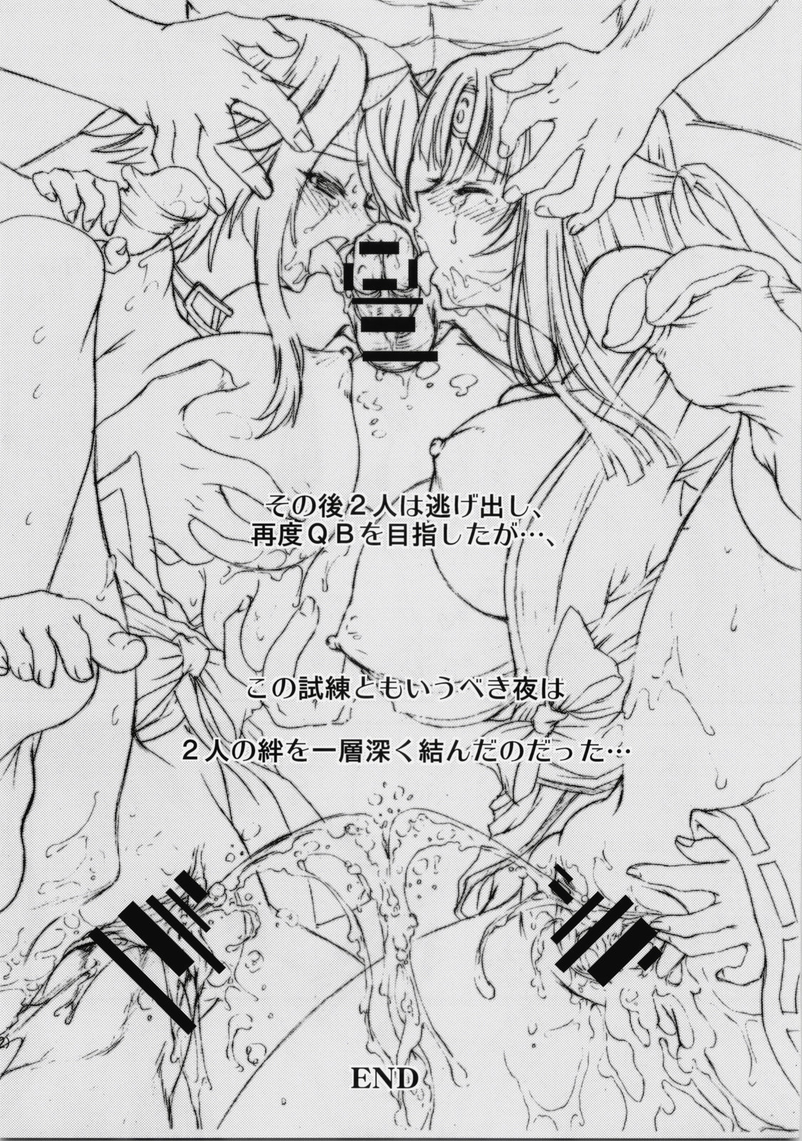 (C76) [少女月蝕 （嶋尾和）] 乳と野獣 (クイーンズブレイド)