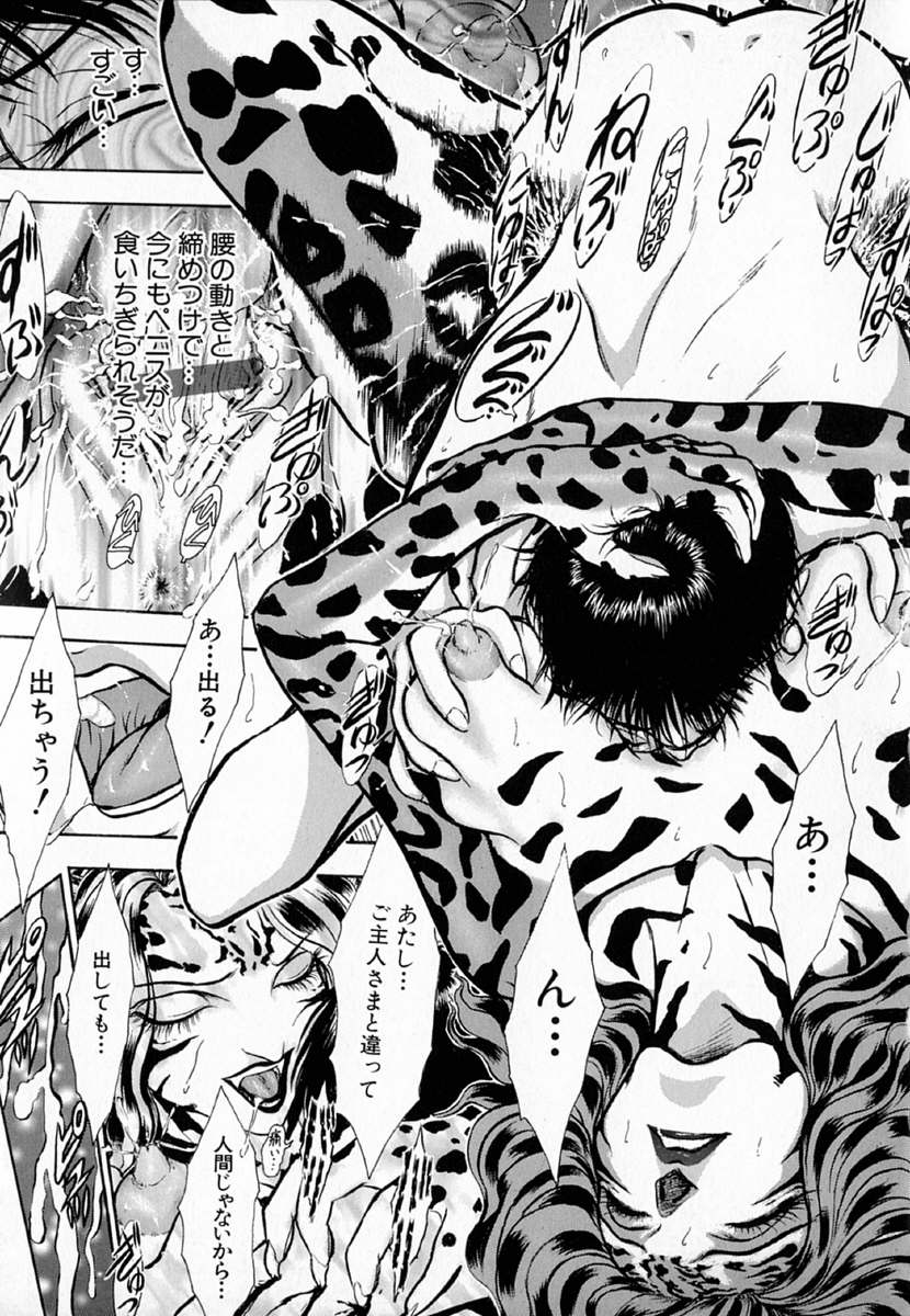 [斎藤佳素理] 琴線