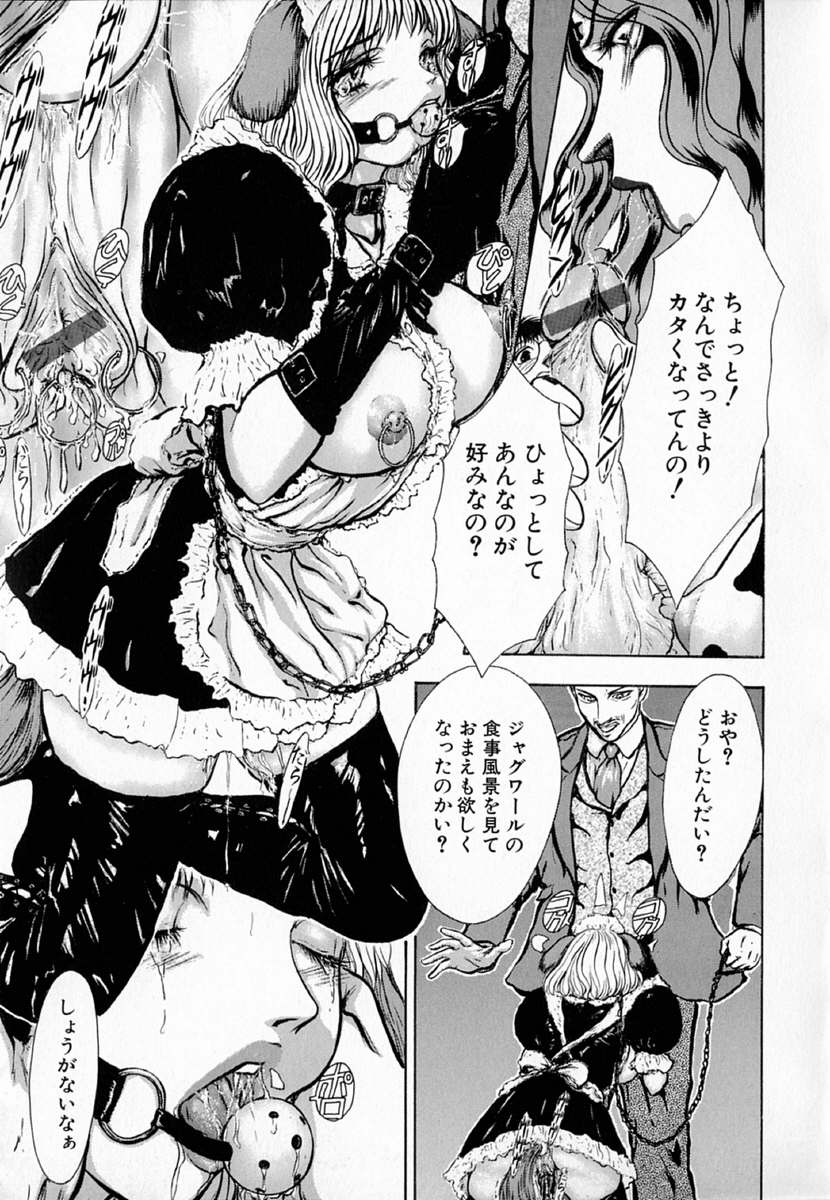 [斎藤佳素理] 琴線