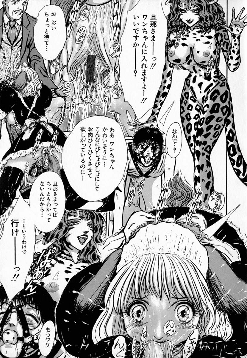 [斎藤佳素理] 琴線