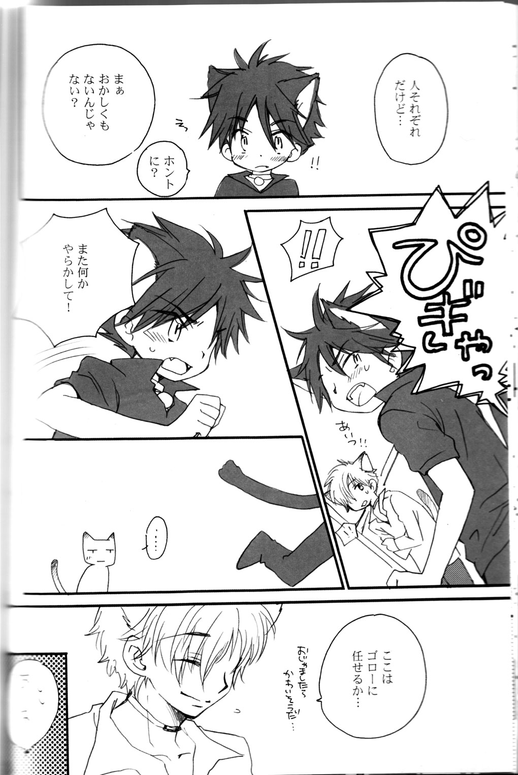 ピーチドロップ-アルコアイリス