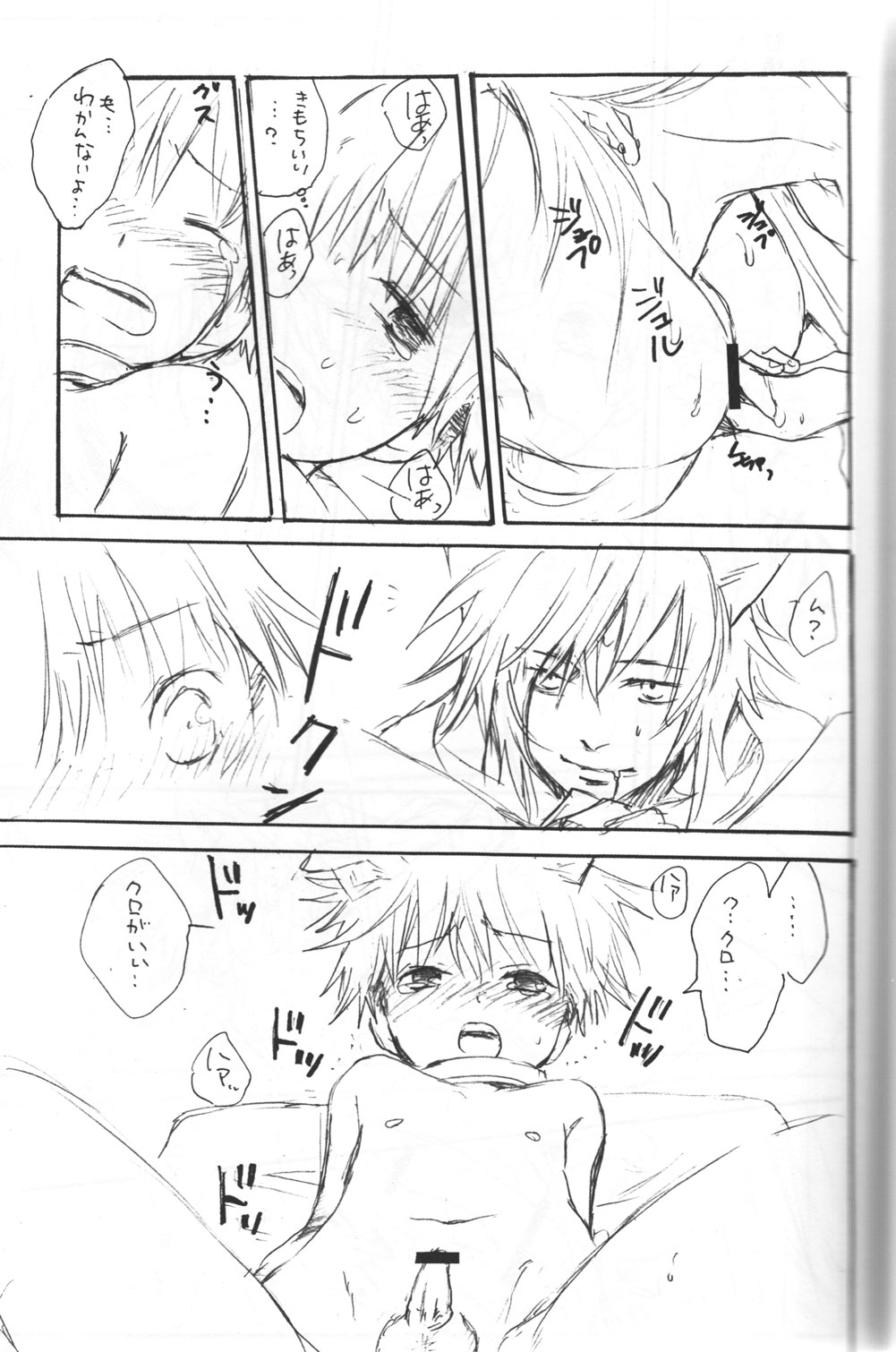 ピーチドロップ-アルコアイリス