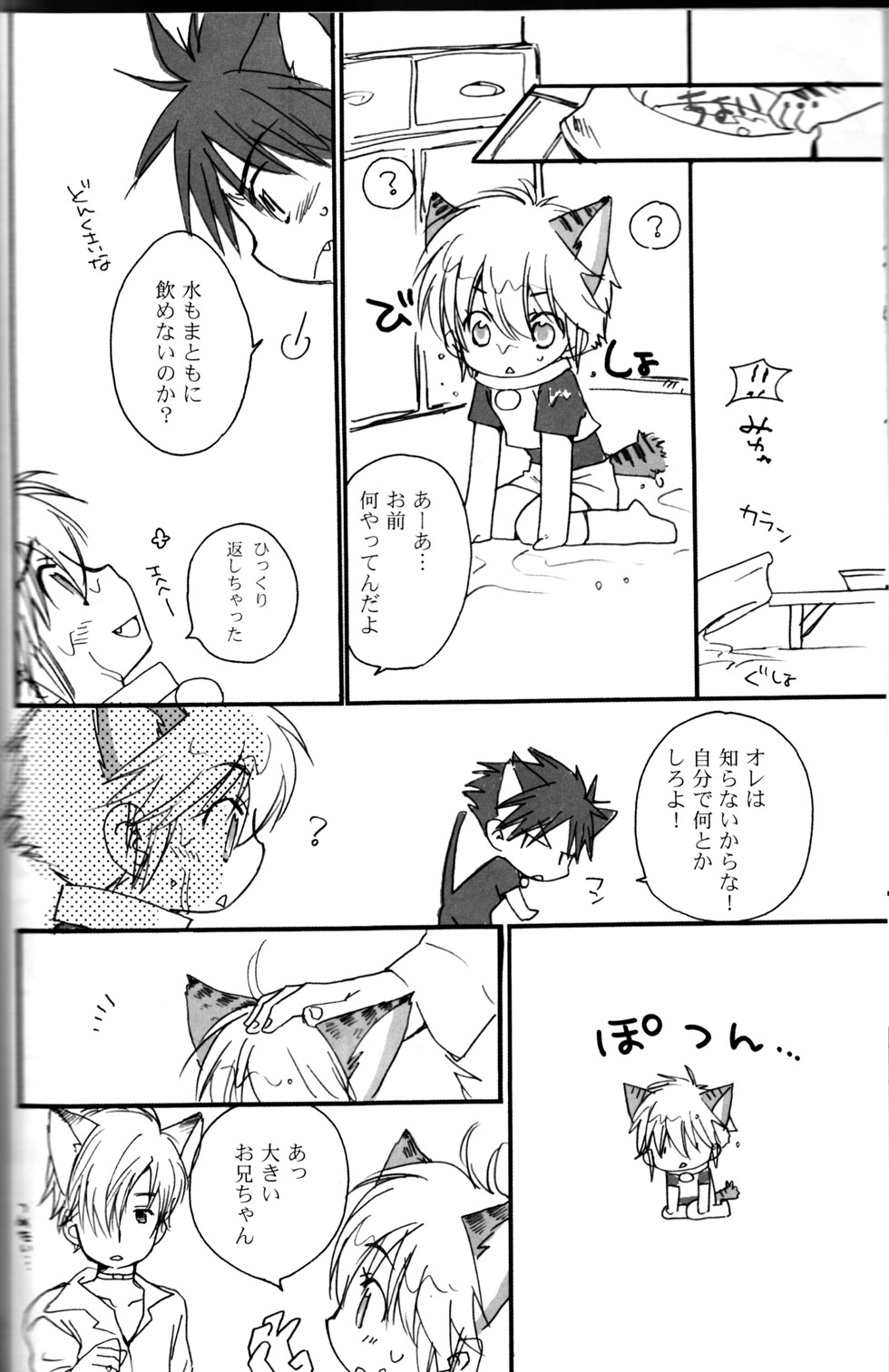 ピーチドロップ-アルコアイリス