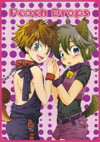 ピーチドロップ-アルコアイリス