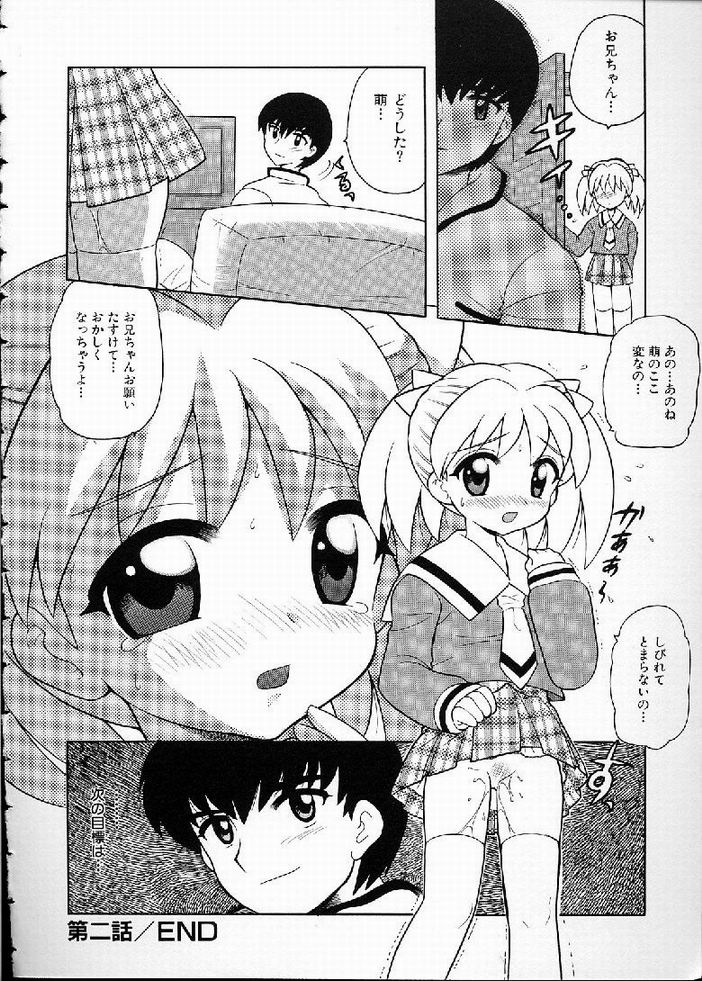 [なぎさわゆう] 花の実の熟するとき...