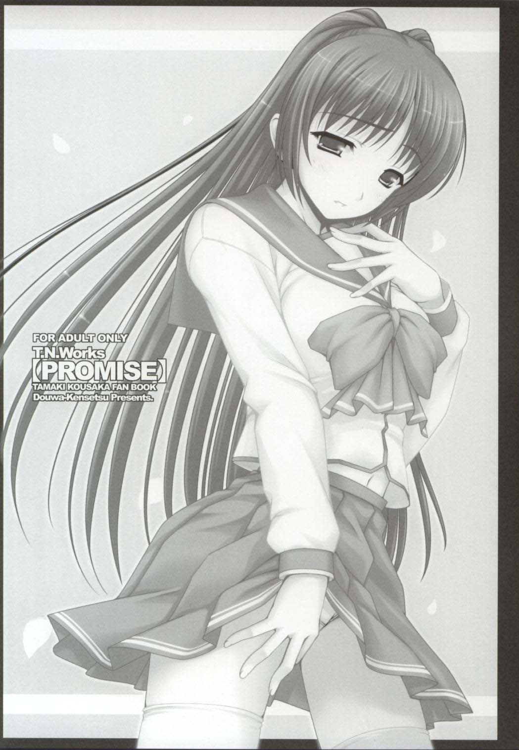 (C69) [童話建設 (野村輝弥)] PROMISE (トゥハート2)