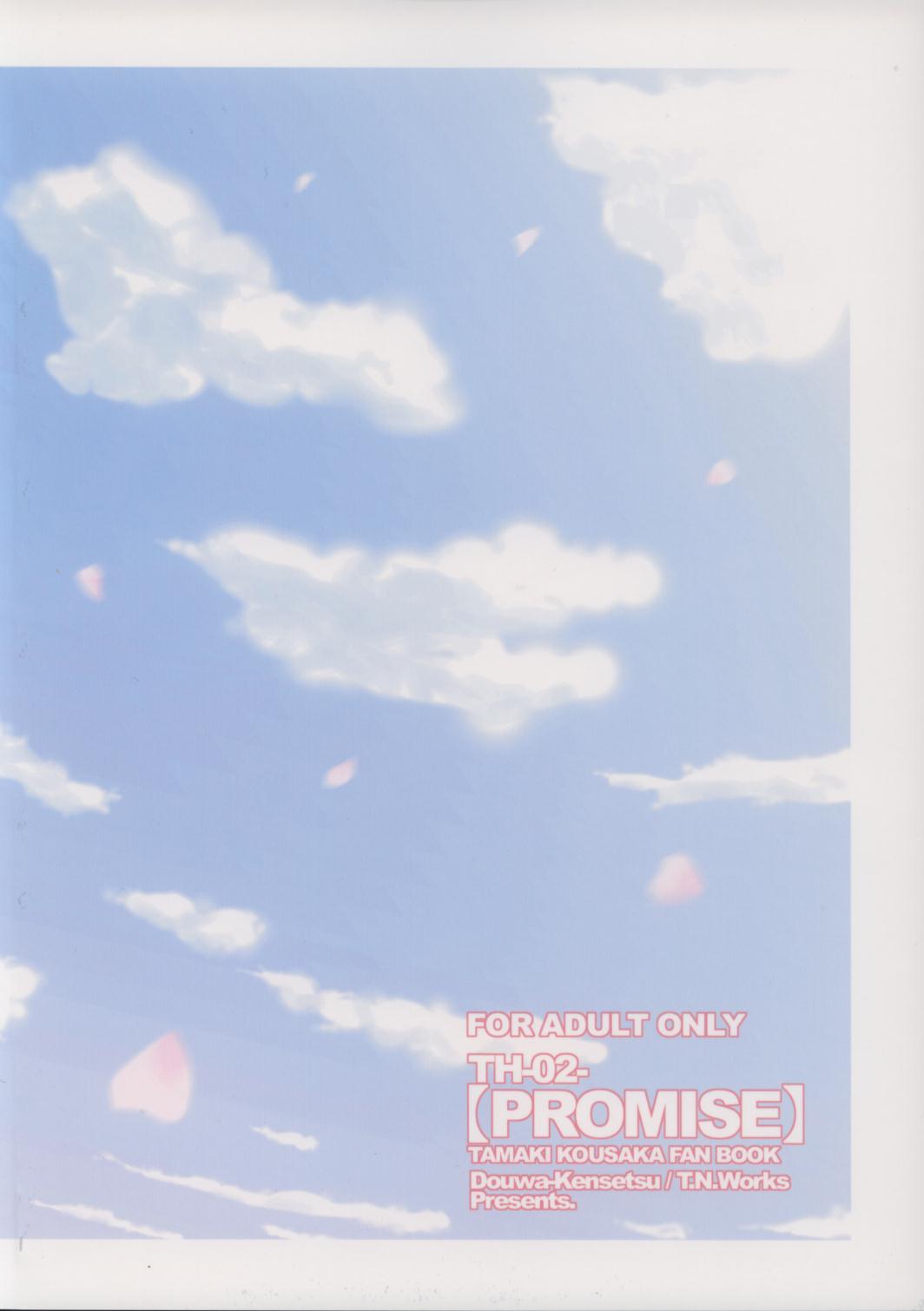 (C69) [童話建設 (野村輝弥)] PROMISE (トゥハート2)