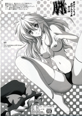 (例大祭6) [毒霧 (よろず)] 東方ニーソキャラ合同イラスト集第二弾 脚 (東方Project)