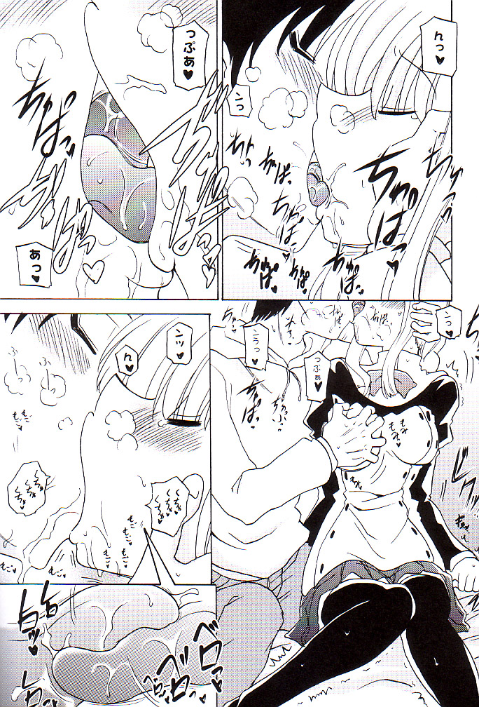 (C74) [瞬間最大風速 (ポニーR)] べろふぇち (トゥハート2)