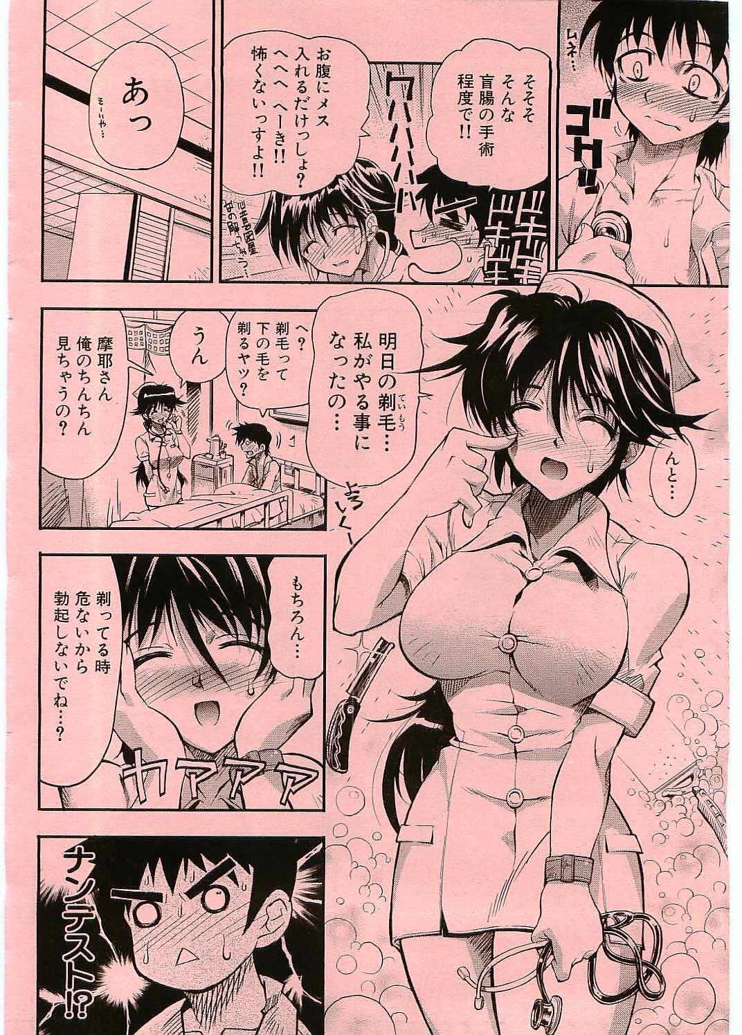 【らっこ】ブラックナースマヤ（jap）