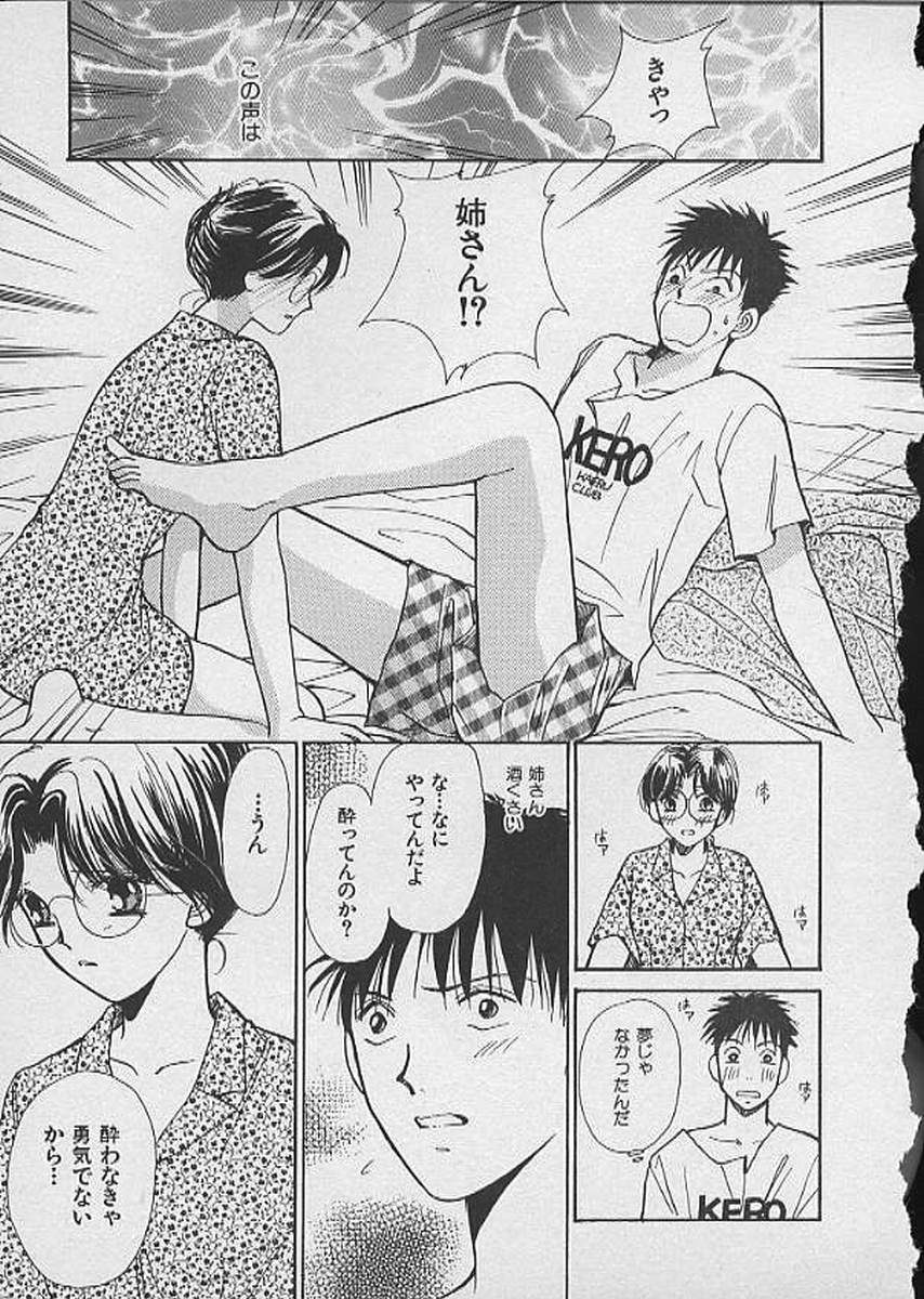 [川本貴裕] HANA-BIRA