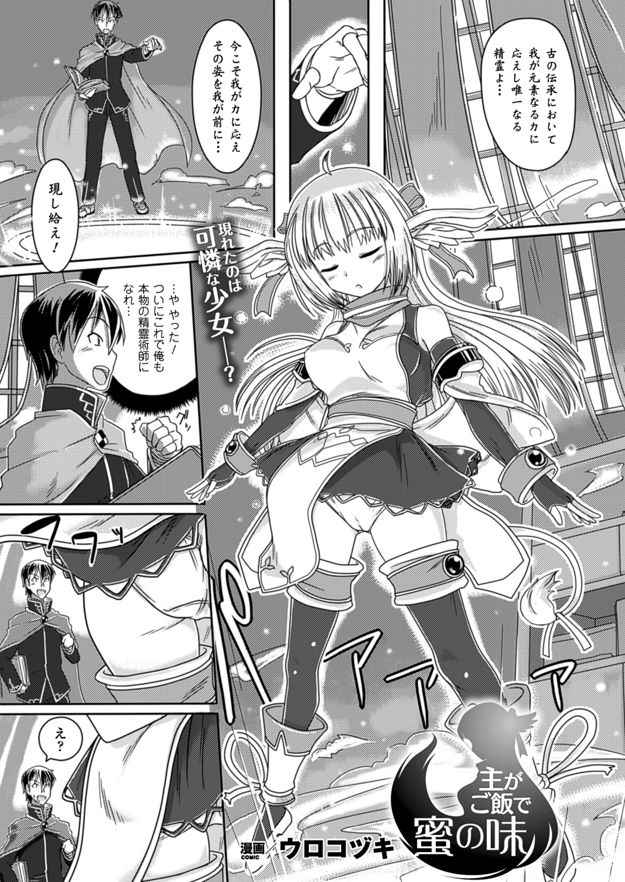 コミックアンリアル 2013年2月号 Vol.41 [DL版]