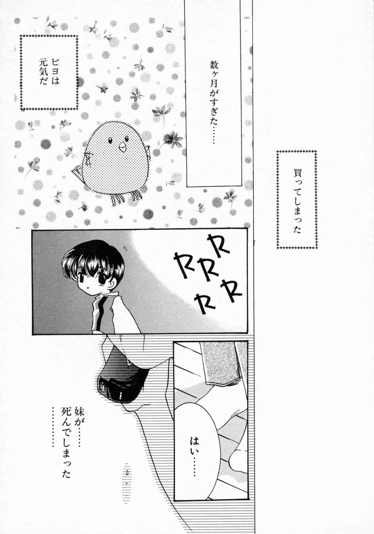 [山田ひより] 恋の始まりははるか遠く昔のこと