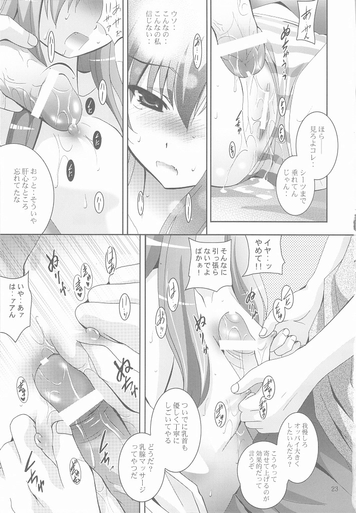 (C75) [スタジオBIG-X (ありのひろし)] MOUSOU みにしあたー 25 (とらドラ！)