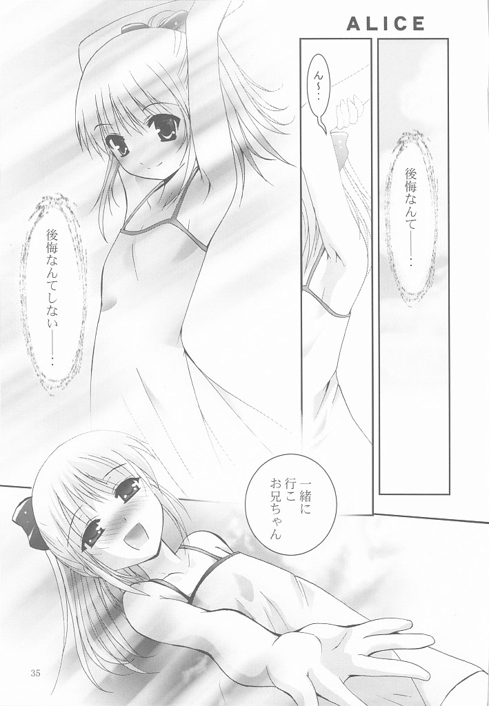 (C75) [スタジオBIG-X (ありのひろし)] MOUSOU みにしあたー 25 (とらドラ！)