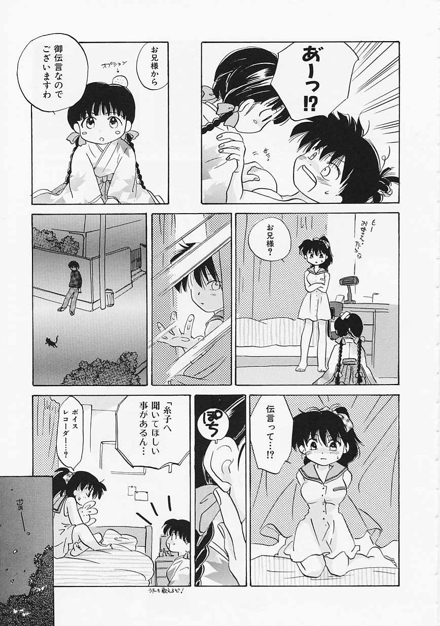 [甘夏真琴] SCREW