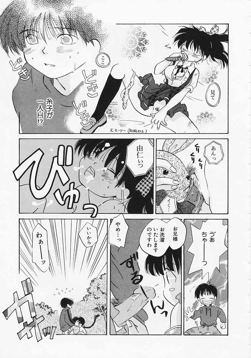 [甘夏真琴] SCREW