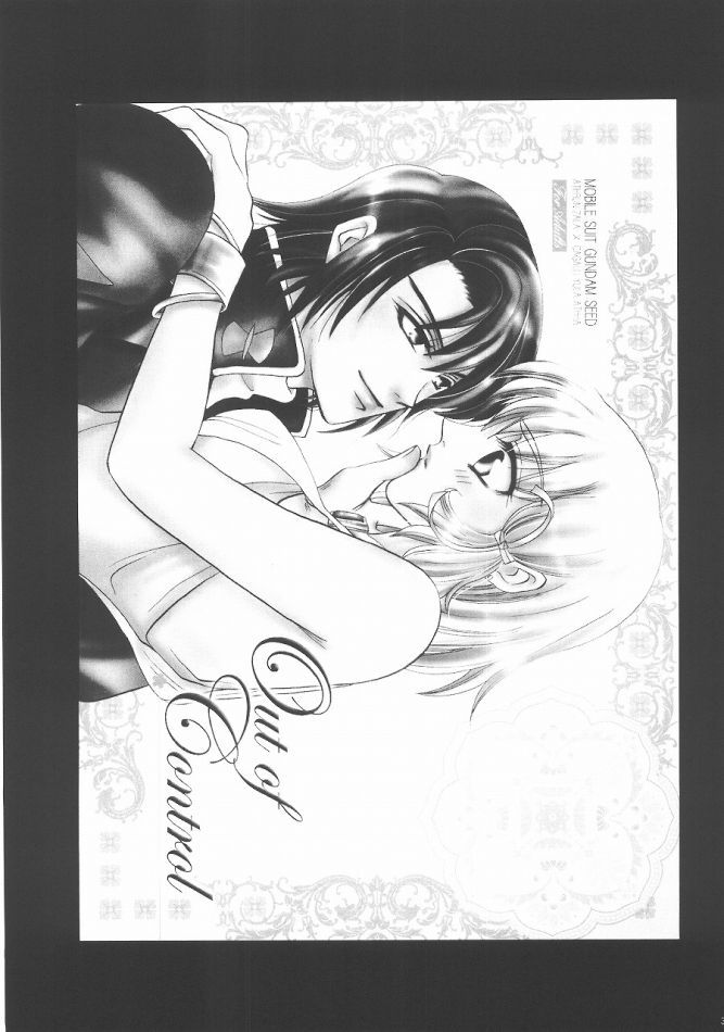 (C68) [ぷりんちょ。 (ぷりん)] Always with you (機動戦士ガンダムSEED DESTINY)