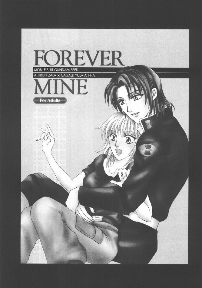 (C68) [ぷりんちょ。 (ぷりん)] Always with you (機動戦士ガンダムSEED DESTINY)