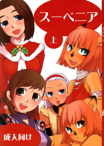 (C74) [日曜版 (保科慎太郎)] スーベニア 上 (ファイナルファンタジーXI)