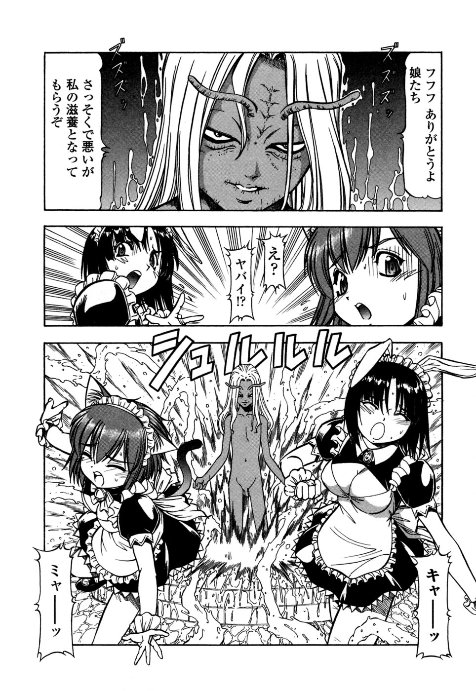 [ITOYOKO] めすねこ