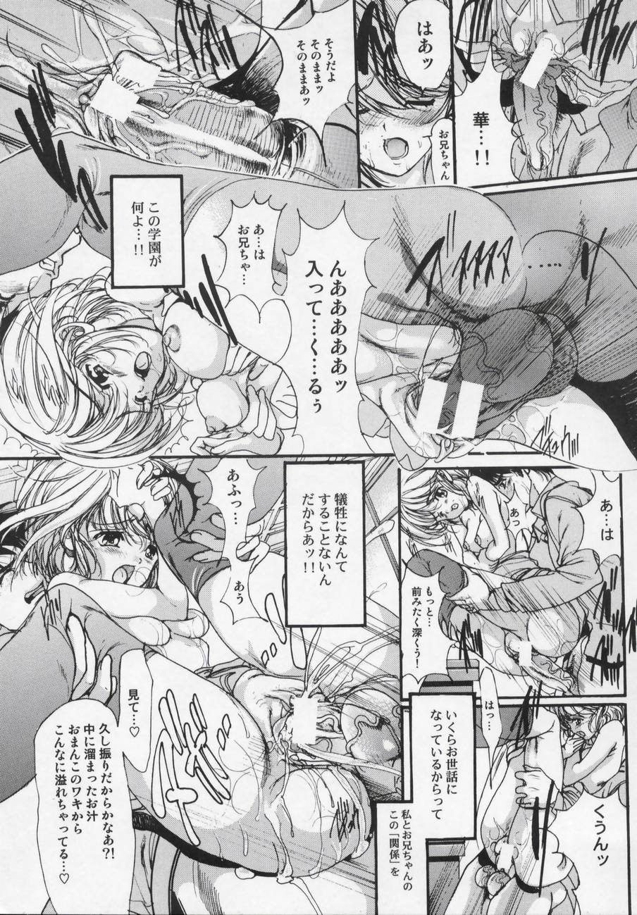 [荒木京也] 華面舞踏会