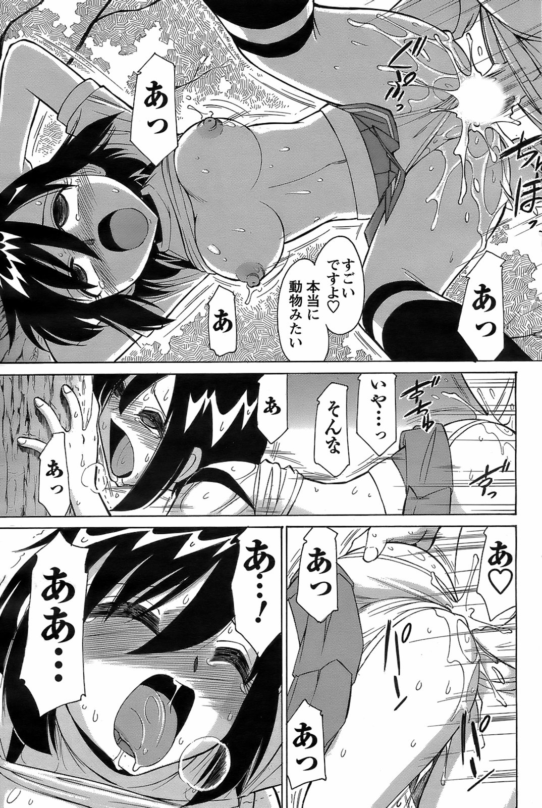 コミックメンズヤング2008-09