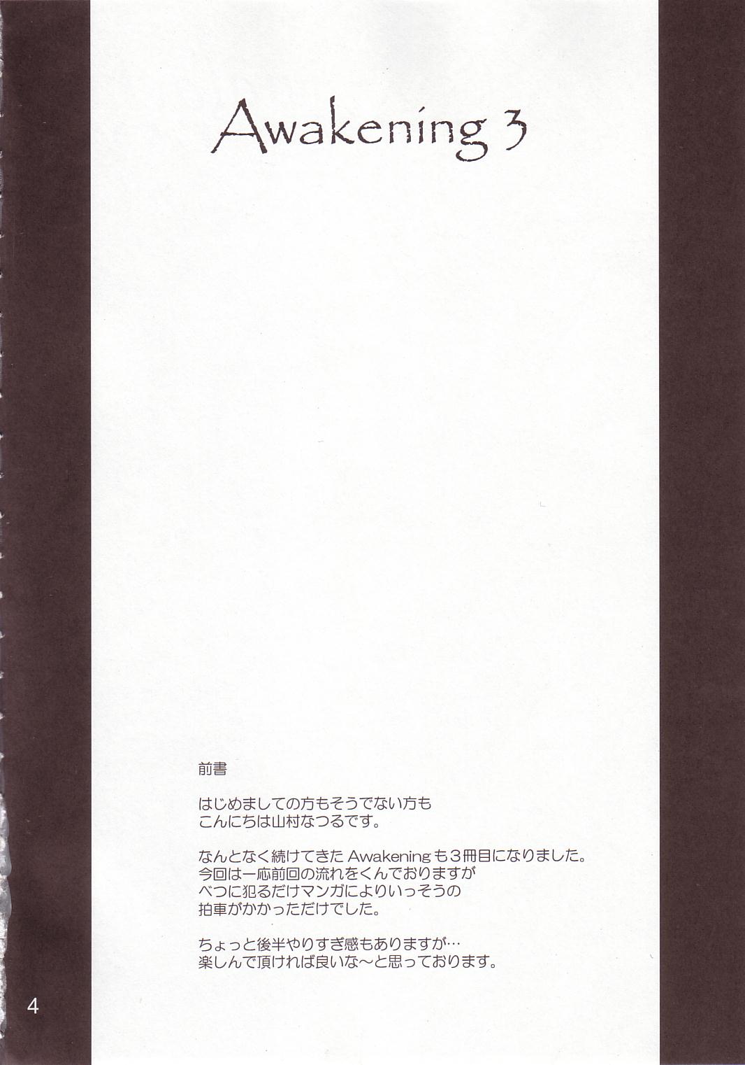 (C66) [アングラヘル (山村なつる)] Awakening 3 (ザ・キング・オブ・ファイターズ)