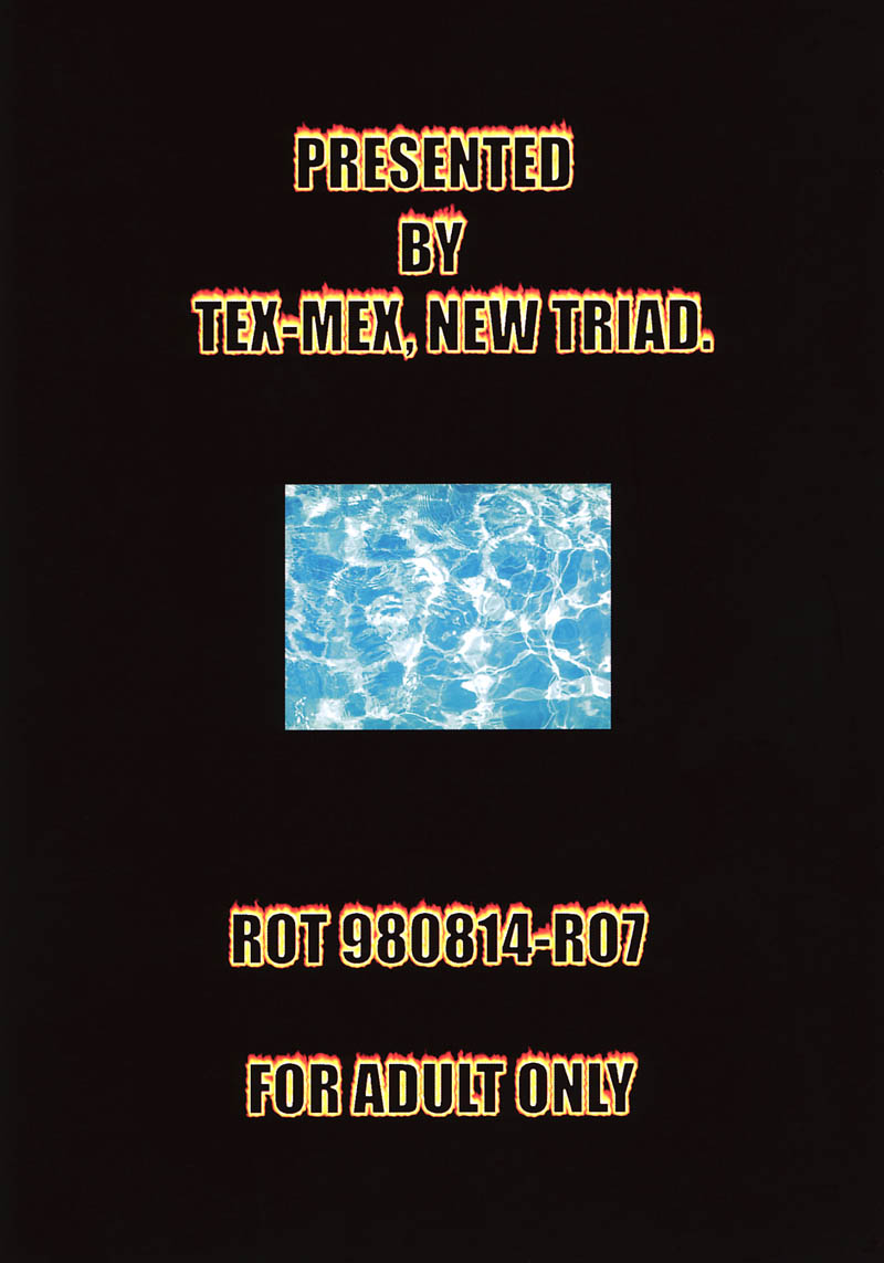 【TEX-MEX】グラウンドゼロ（ストリートファイター）