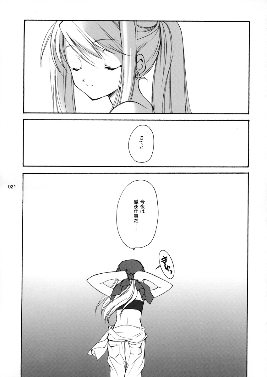 (C65) [共月亭 (宮下未紀)] はがねのXXXX (鋼の錬金術師)