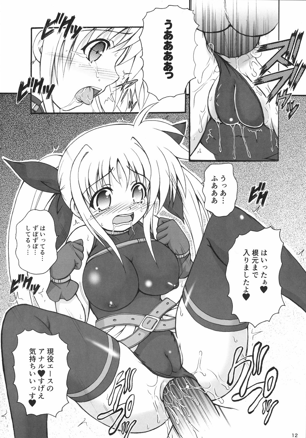 (C73) [踝会 (どわるこふ)] でっかくなってもとらうまだらけ (魔法少女リリカルなのは)