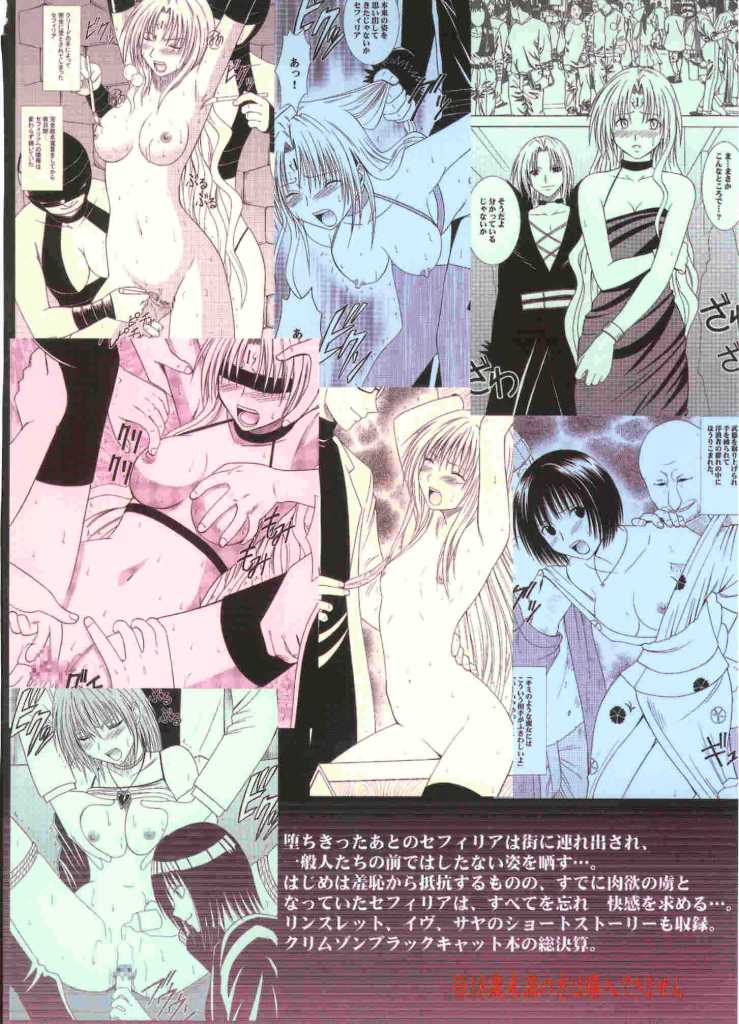 【クリムゾンコミックス】ブラックキャットファイナル（ブラックキャット）