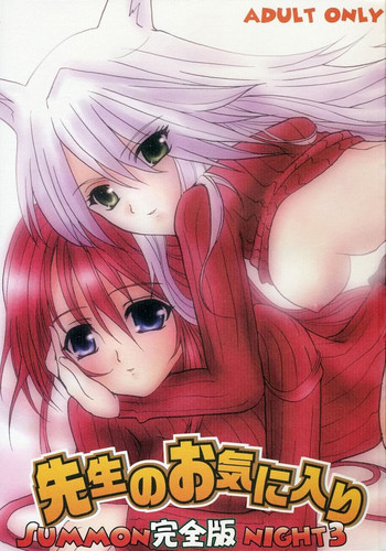 【猫と鳩】先生のオキニイリかんぜんばん（サモンナイト3）