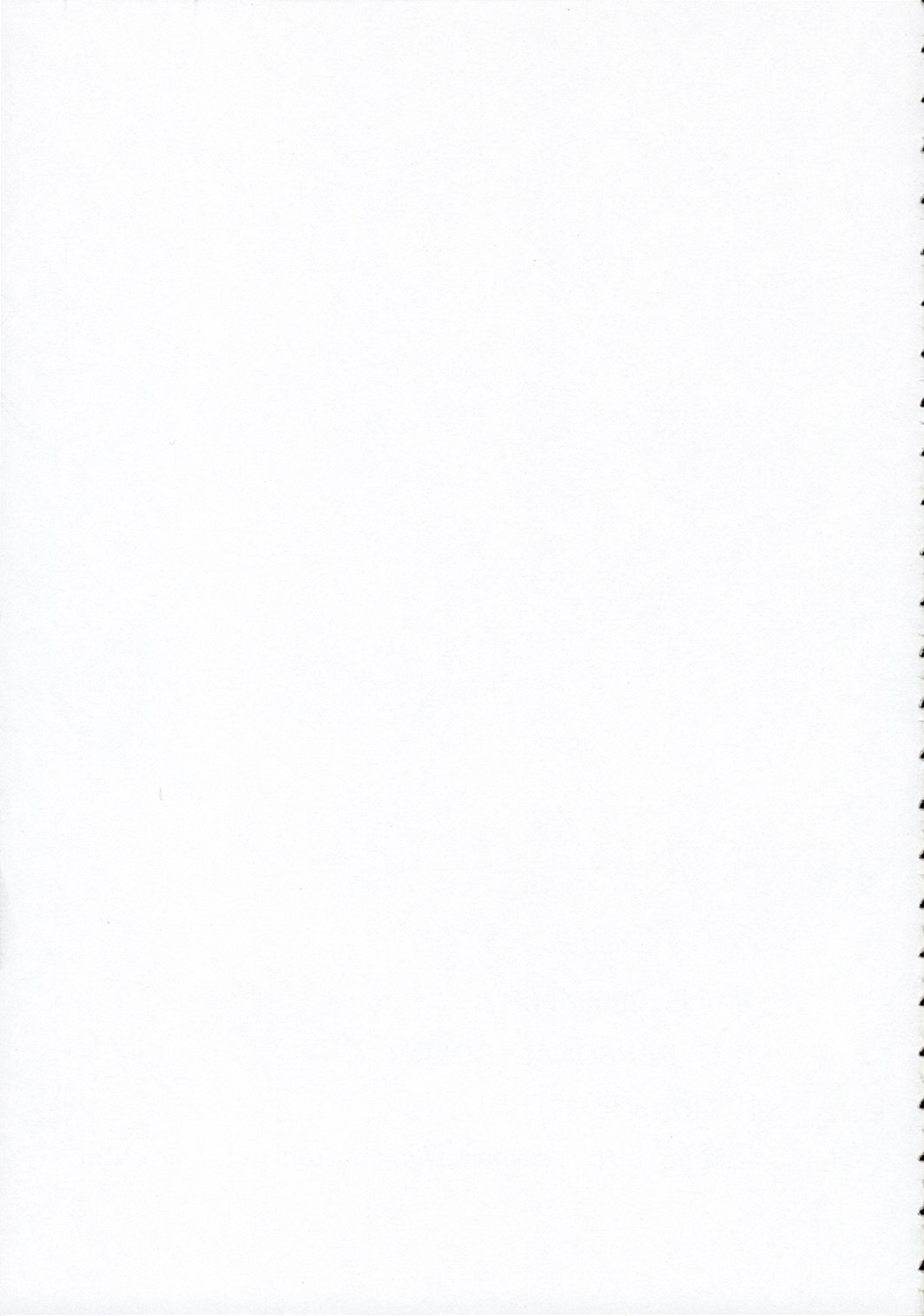 (紅楼夢2) [PERSONAL COLOR (桜庭友紀)] 人形遣いと白黒魔 (東方Project)