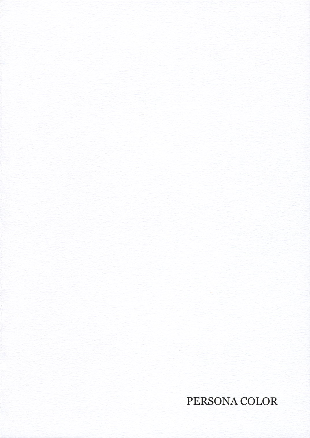 (紅楼夢2) [PERSONAL COLOR (桜庭友紀)] 人形遣いと白黒魔 (東方Project)