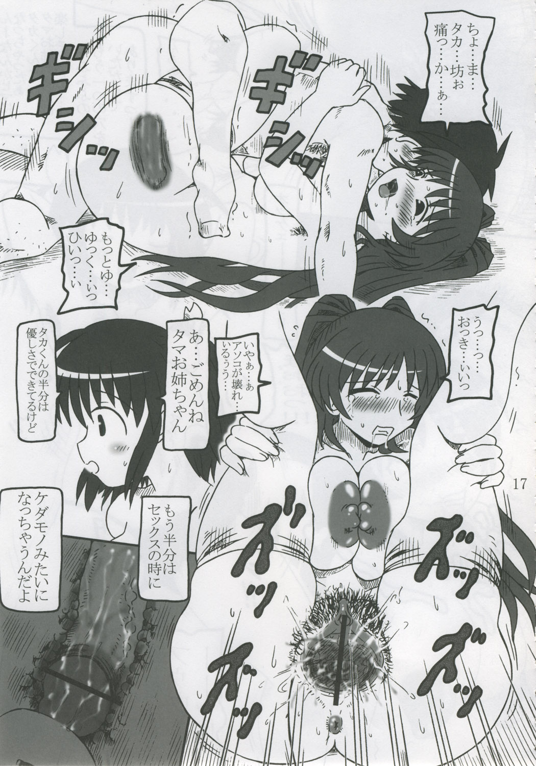 (C68) [サルヴェージ工房 (鳳凰たん)] タマお姉ちゃん育成日記 (トゥハート2)