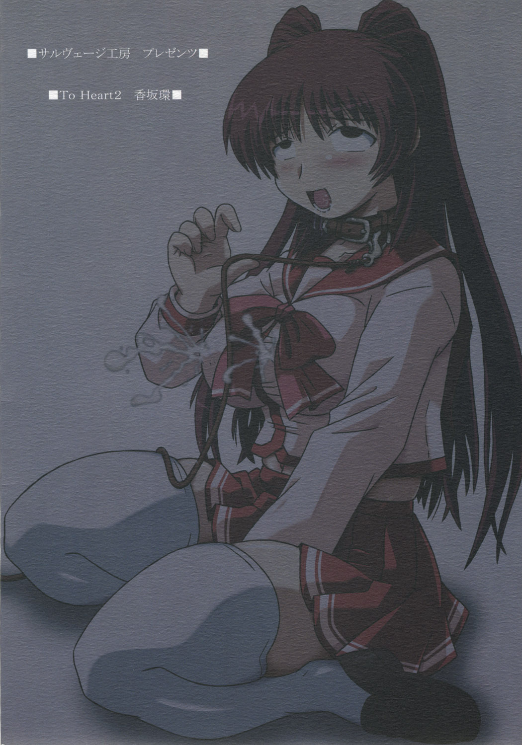 (C68) [サルヴェージ工房 (鳳凰たん)] タマお姉ちゃん育成日記 (トゥハート2)