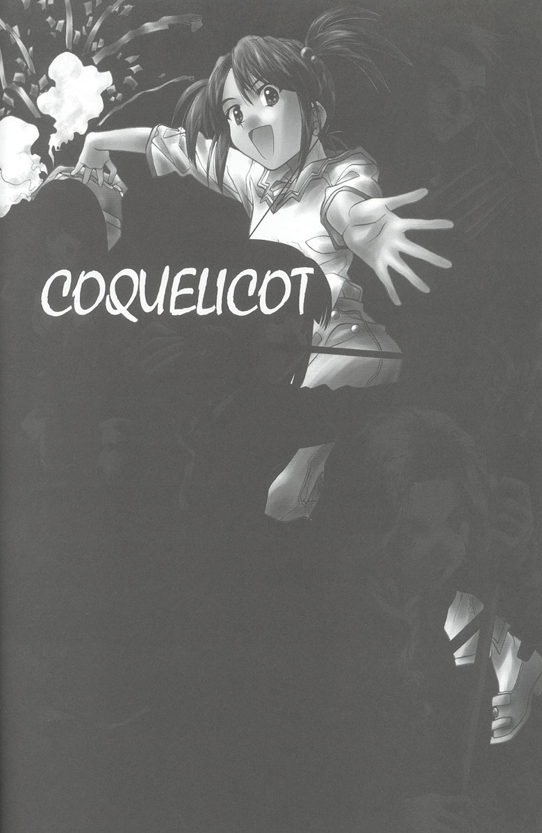 (C66) [彩～IRODORI～ (そよそよ)] SOYOSOYO'S WORKS -麗 (ファイナルファンタジーX、サクラ大戦)