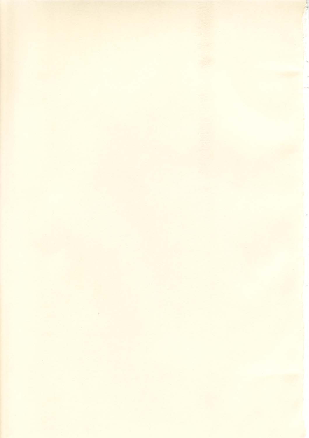 (C65) [Synthetic Garden (よろず)] Burning Circles (ファイナルファンタジー XI)