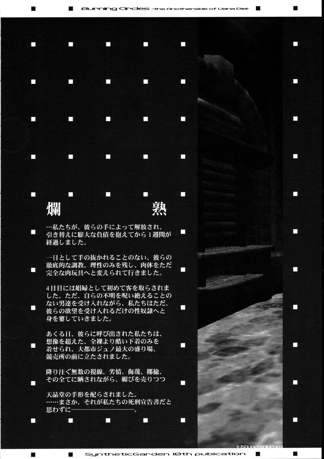 (C65) [Synthetic Garden (よろず)] Burning Circles (ファイナルファンタジー XI)