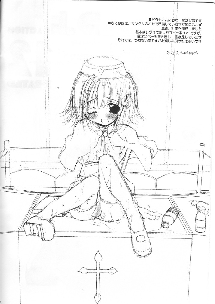 (サンクリ16) [Digital Lover (なかじまゆか)] D.L. action 12 (ラグナロクオンライン)