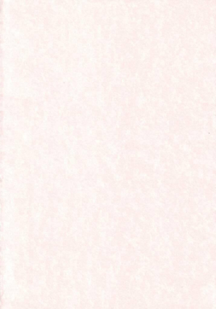 (Cレヴォ31) [STUDIO BLACK CATS (津森(AZR)みなと)] 猫メイドの調教法 (月姫)