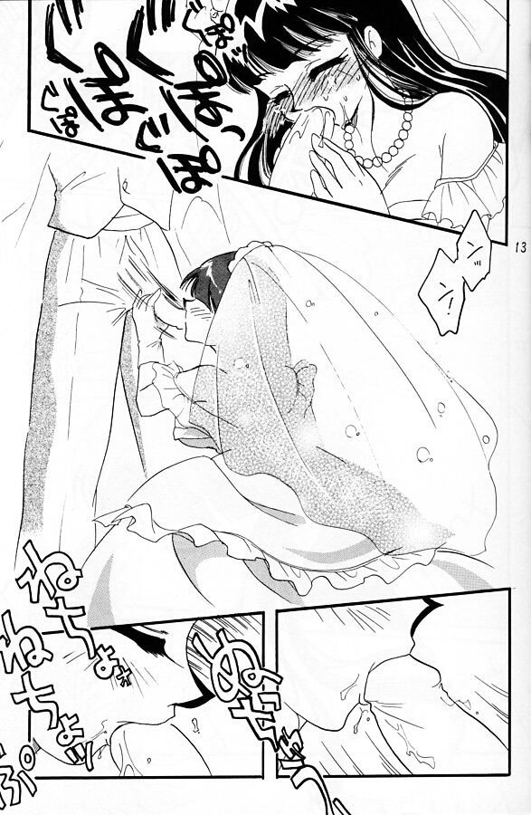 [銀桃堂 (みたさとみ)] SLAYERS ADULT 11 (スレイヤーズ)