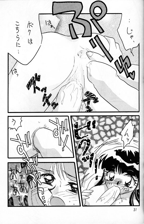 [銀桃堂 (みたさとみ)] SLAYERS ADULT 11 (スレイヤーズ)