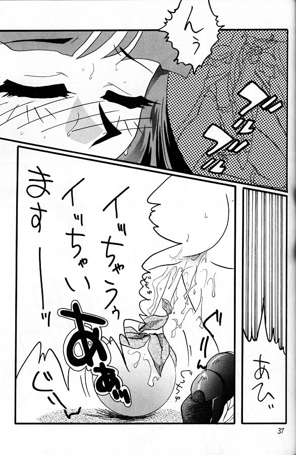 [銀桃堂 (みたさとみ)] SLAYERS ADULT 11 (スレイヤーズ)