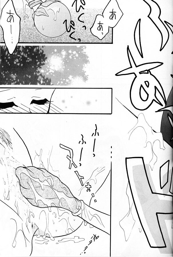 [銀桃堂 (みたさとみ)] SLAYERS ADULT 11 (スレイヤーズ)